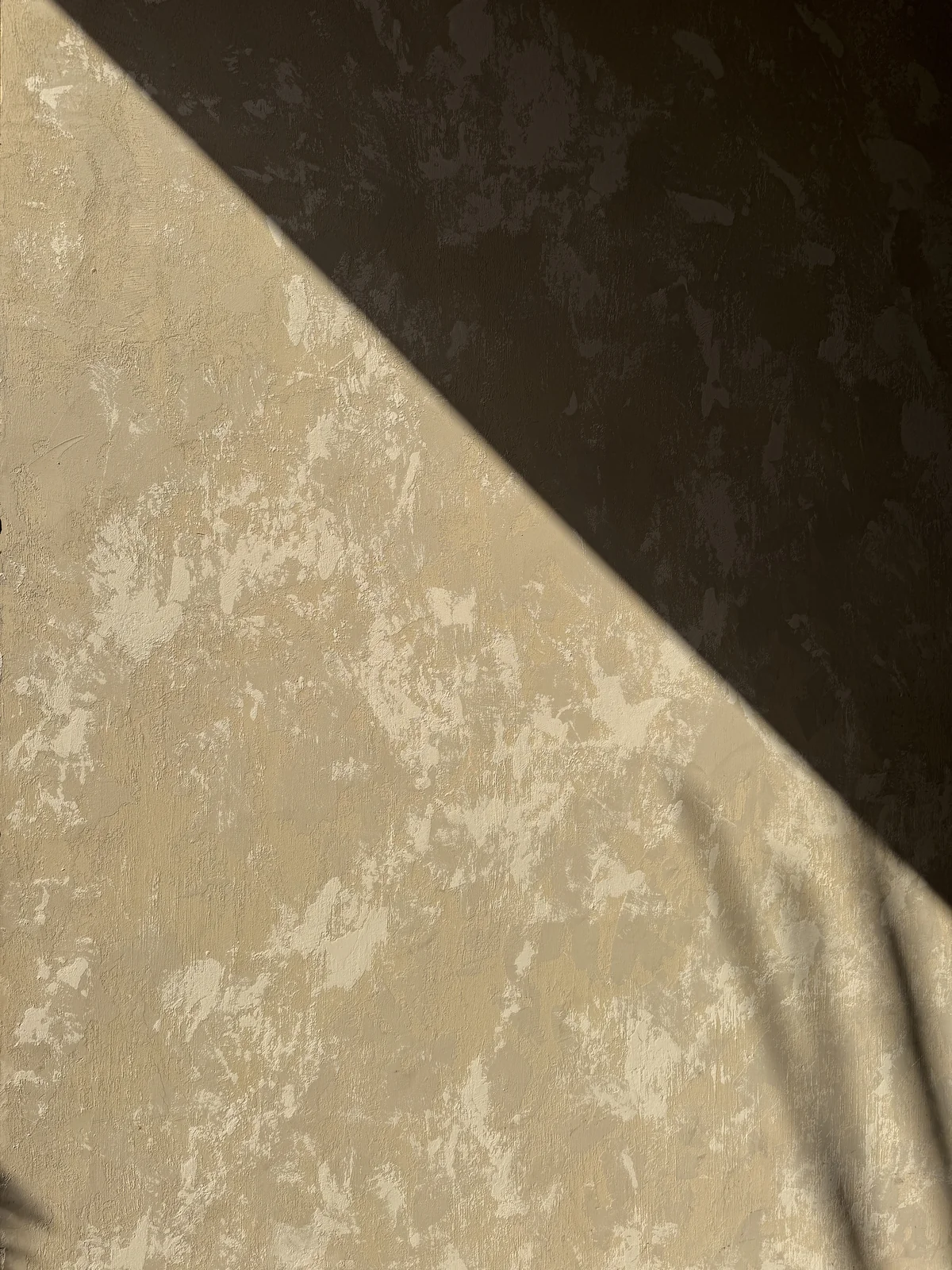 Warm neutral rustic wall finish in natural light